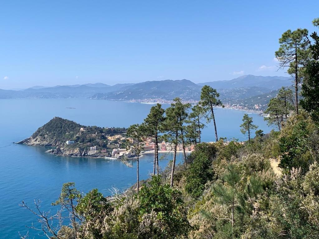 La Pergola Dei Paggi Vila Sestri Levante Exterior foto