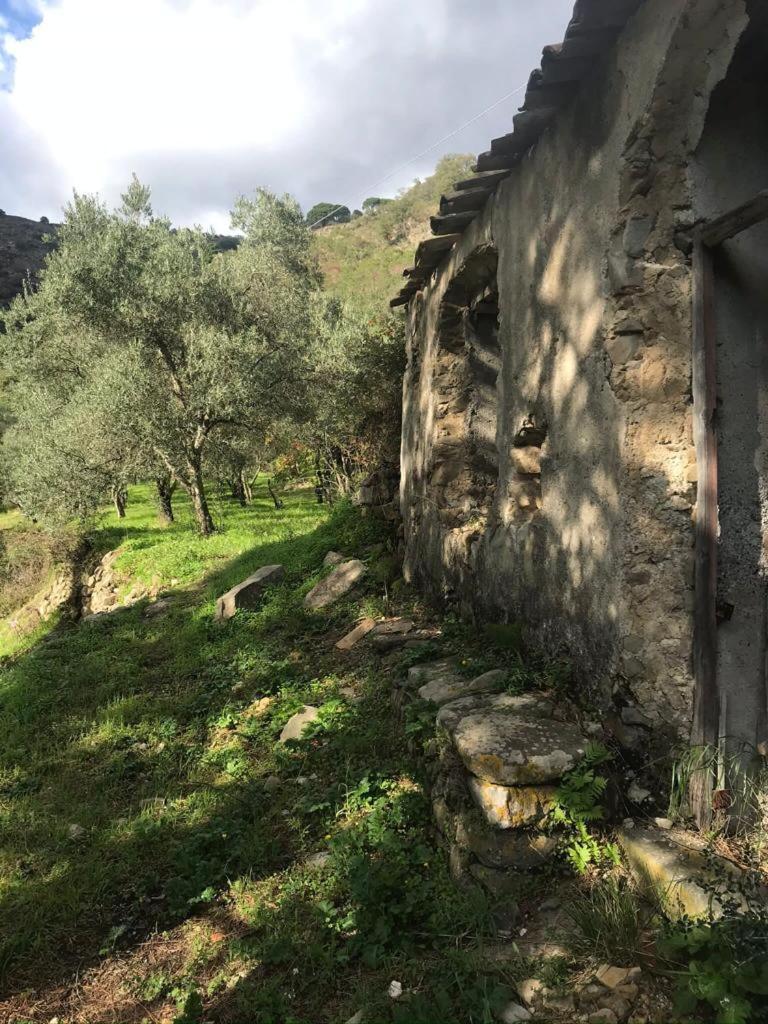 La Pergola Dei Paggi Vila Sestri Levante Exterior foto